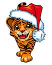 A painted tiger cub in a Santa hat