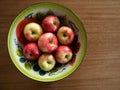 Painted Tin Bowl with Honeycrisp Apples Royalty Free Stock Photo