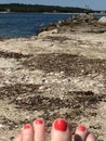 painted toes sitting on jetty in Falmouth ma with seagulls Royalty Free Stock Photo