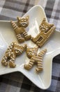 Painted traditional Christmas gingerbreads arranged on white star shaped plate, group of funny marble Xmas cats