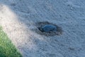Painted turtle resting in a sand trap on a golf course in Palm Desert, California Royalty Free Stock Photo