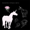 isolated image of isolated silhouettes unicorns on black background, peony flowers, contours