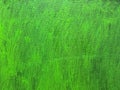 Painted vibrant green canvas background with brush strokes