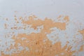 Painted wall`s background / orange real texture isolated on white with copy space