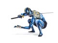 Painted Warrior BB147955 Royalty Free Stock Photo