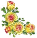 Painted with watercolor corner with bright roses and leaves of e