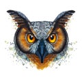 Painted watercolor picture of a ravenous night owl bird on a white background