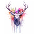 Painted watercolour image of stags head in rainbow colours