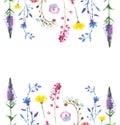 Painted wildflower flowers background pattern in a watercolor style.