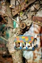 Painted wooden house birdhouse on a tree in the garden.Care and feeding of birds.