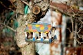 Painted wooden house birdhouse on a tree in the garden.Care and feeding of birds.