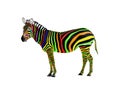 Painted zebra isolated on white