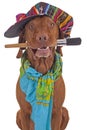 Painter artist dog Royalty Free Stock Photo