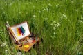 Painter case on grass with palette and artistic tools Royalty Free Stock Photo