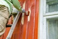 Painter man on ladder paint wooden house wall