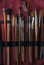 Painter`s brushes professional case made of red velvet