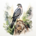 Watercolor Falcon Silhouette On Hill: Hyperrealistic Animal Portrait