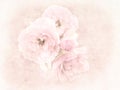 Painterly pale pink roses on delicate background.