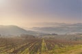 Painterly picture of Tuscany vineyards hills