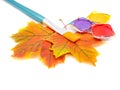 Painting autumn colorful leaves and brush isolated