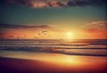 A painting of a beach with a sunset and birds flying over it. Royalty Free Stock Photo