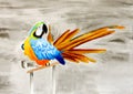 Painting of a beautiful parrot