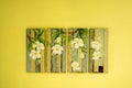 Painting Board of Flower on the Wall Royalty Free Stock Photo