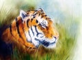 Painting of a bright mighty tiger head on a soft toned abstract