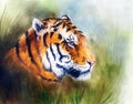 Painting of a bright mighty tiger head on a soft toned abstract