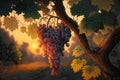 A painting of a bunch of grapes hanging from a tree branch in a vineyard at sunset or dawn with the sun setting Royalty Free Stock Photo