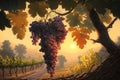 A painting of a bunch of grapes hanging from a tree branch in a vineyard at sunset or dawn with the sun setting Royalty Free Stock Photo