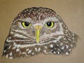 Painting of a Burrowing Owl