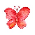 Painting butterfly. Watercolor butterfly. Cartoon insect.