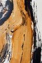 Golden ocher. Hand-painted background. Fragment of artwork. Royalty Free Stock Photo