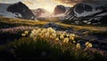 Alpine Meadows in Bloom