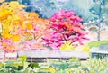 Painting colorful of wild himalayan cherry flowers on the mount