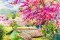 Painting colorful of wild himalayan cherry in mountain Royalty Free Stock Photo