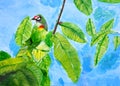 Painting of a Coppersmith Barbet, a child art Royalty Free Stock Photo