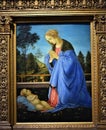 Painting depicting the Madonna, in adoration of the Child Jesus lying at his feet, at the Uffizi museum in Florence.