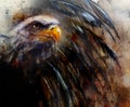 Painting of eagle on an abstract background, USA Symbols Freedom Royalty Free Stock Photo