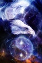 Painting eagle on abstract background, wings to fly,