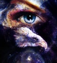 Painting eagle with woman eye on abstract background in space with stars. Wings to fly, USA Symbols Freedom. .