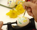 Painting easter eggs