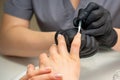 Painting female nails. Hands of manicurist in black gloves is applying transparent nail polish on female nails in a Royalty Free Stock Photo