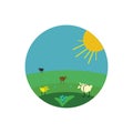 Painting of few sheep grazing in the meadow vector or color illustration