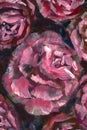 Oil painting close-up flower. Big red violet flowers rose peony closeup macro on canvas. Modern Impressionism. Royalty Free Stock Photo