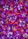 Flowers pansy, violet texture oil painting. Abstract hand-painted flowers background