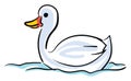 Painting of a fluffy swan swimming across the sea, vector or color illustration Royalty Free Stock Photo