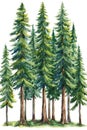 A painting of a forest with a row of tall trees Royalty Free Stock Photo