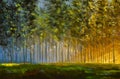 Sun in forest. Illustranion Green spring trees in forest. Beautiful magic landscape